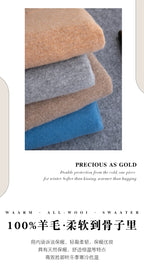 Merino Wool V-Neck Sweater