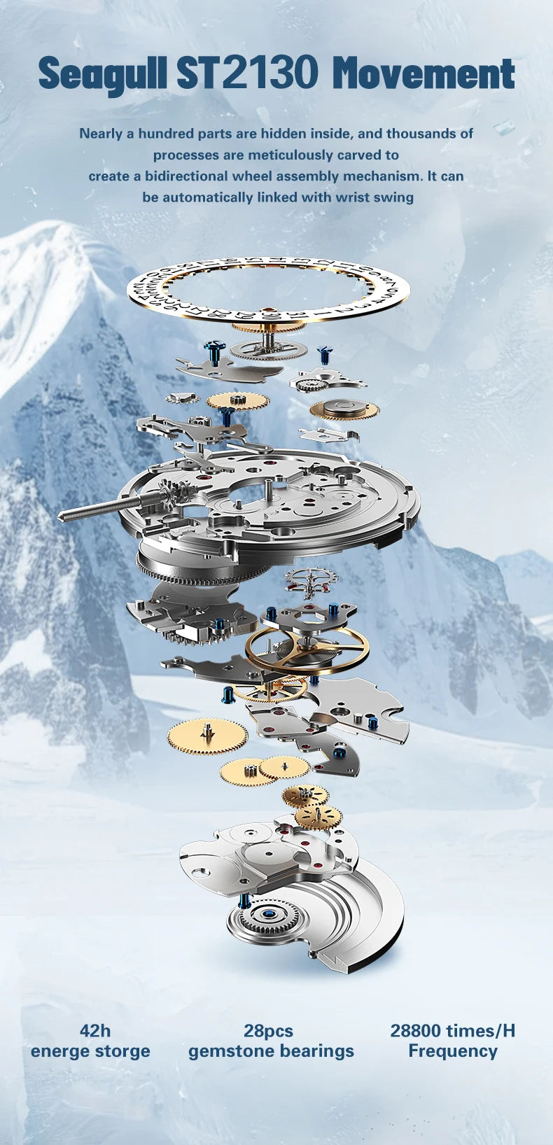 Men’s Luxury Mechanical Expedition Watch